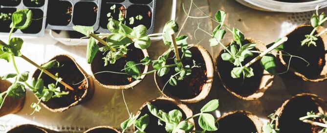 gardening the qualities you want