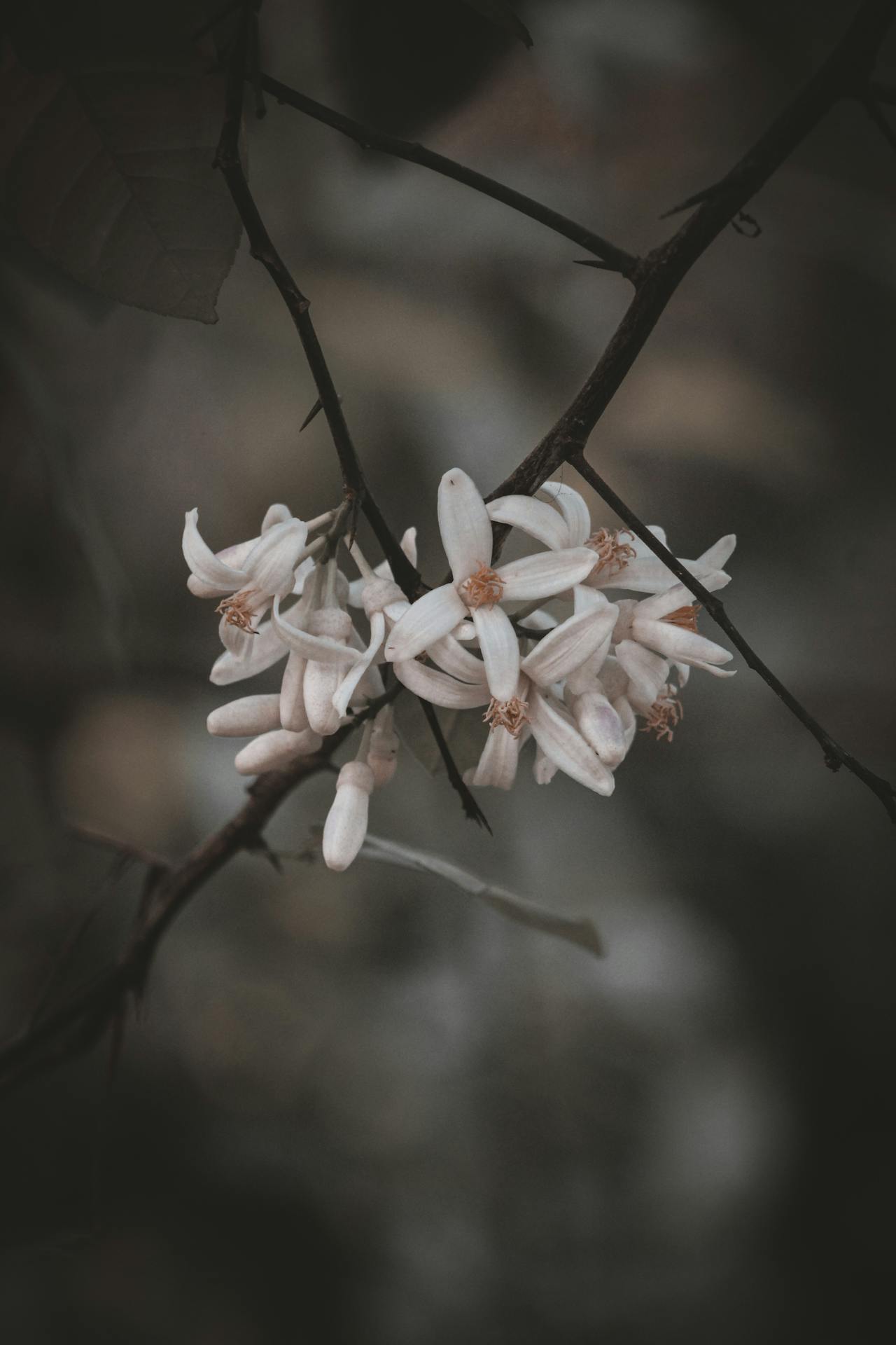 new beginning, winter solstice, trauma healing