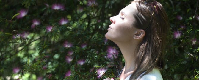 somatic healing for dysregulated nervous systems