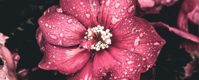 Seasonal Depression and Persistent Depression