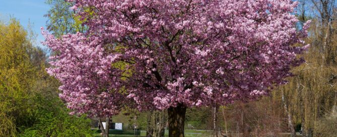 spring survival guide obx virginia